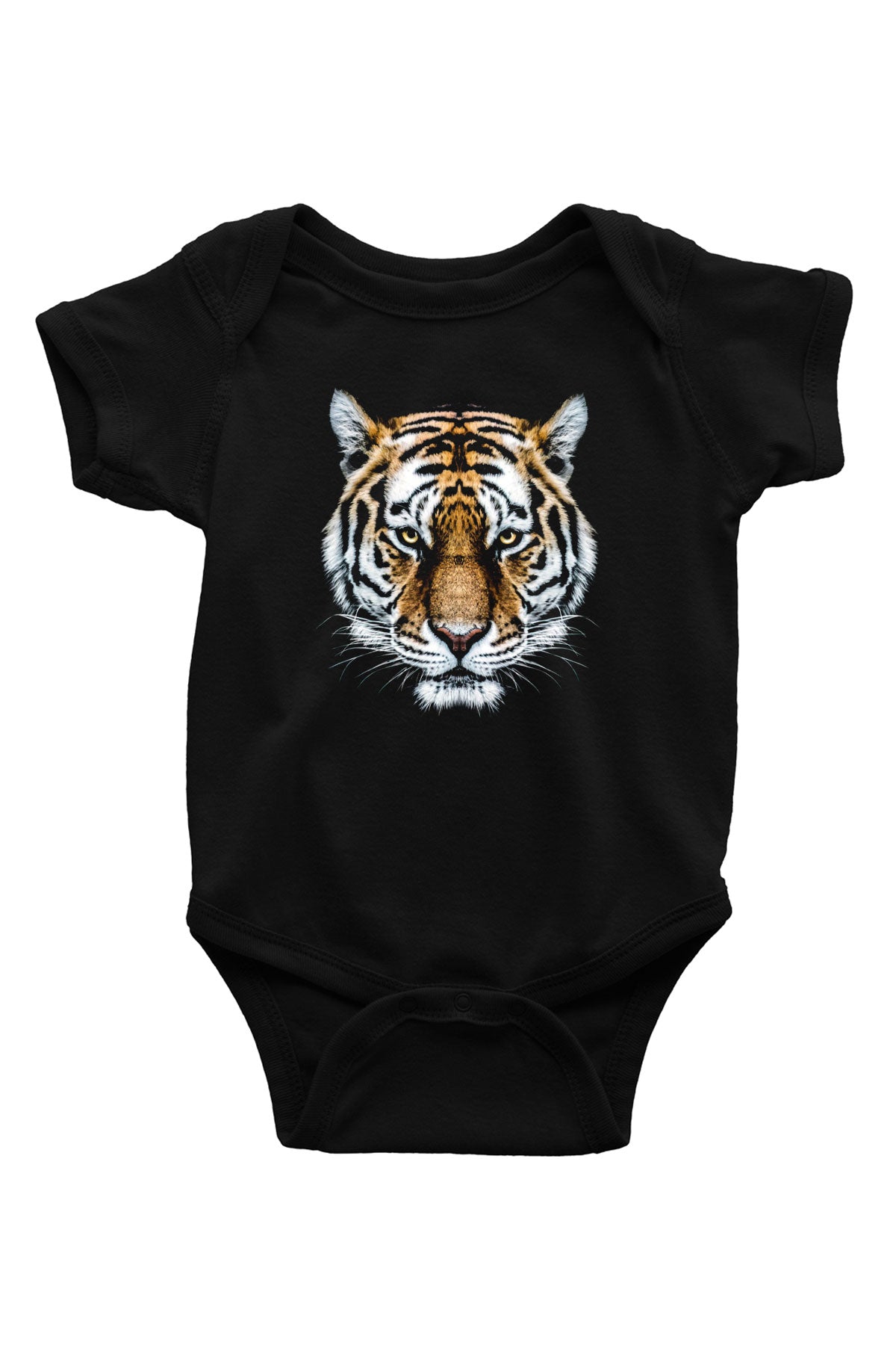BBZ15395