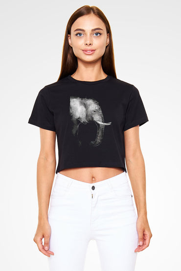 CT15251