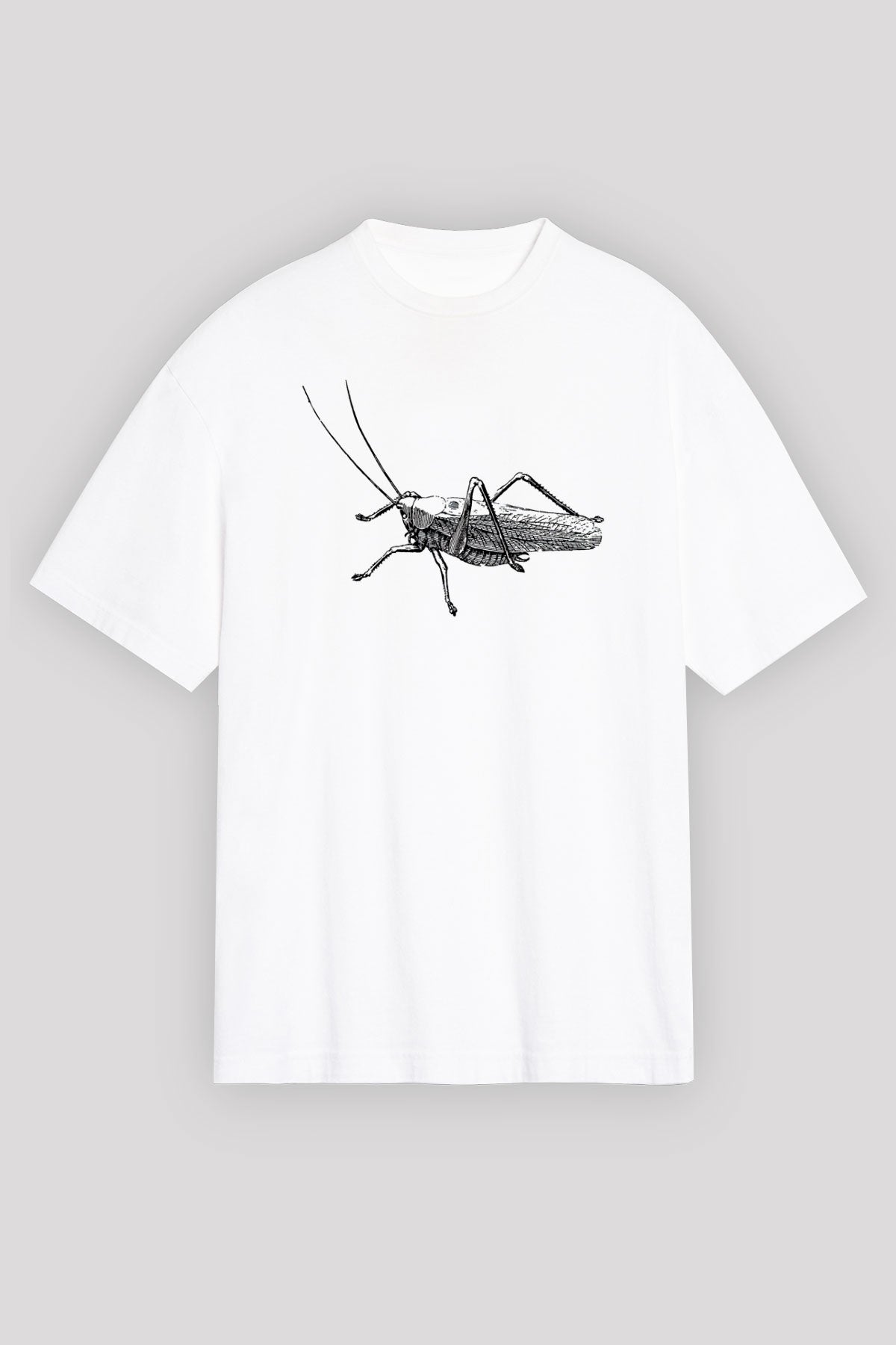 OS59157_0.jpg