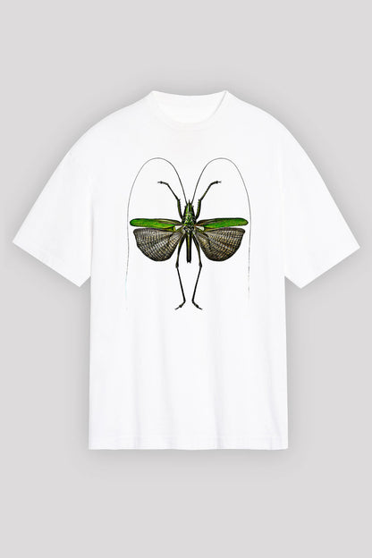 OS59164_0.jpg