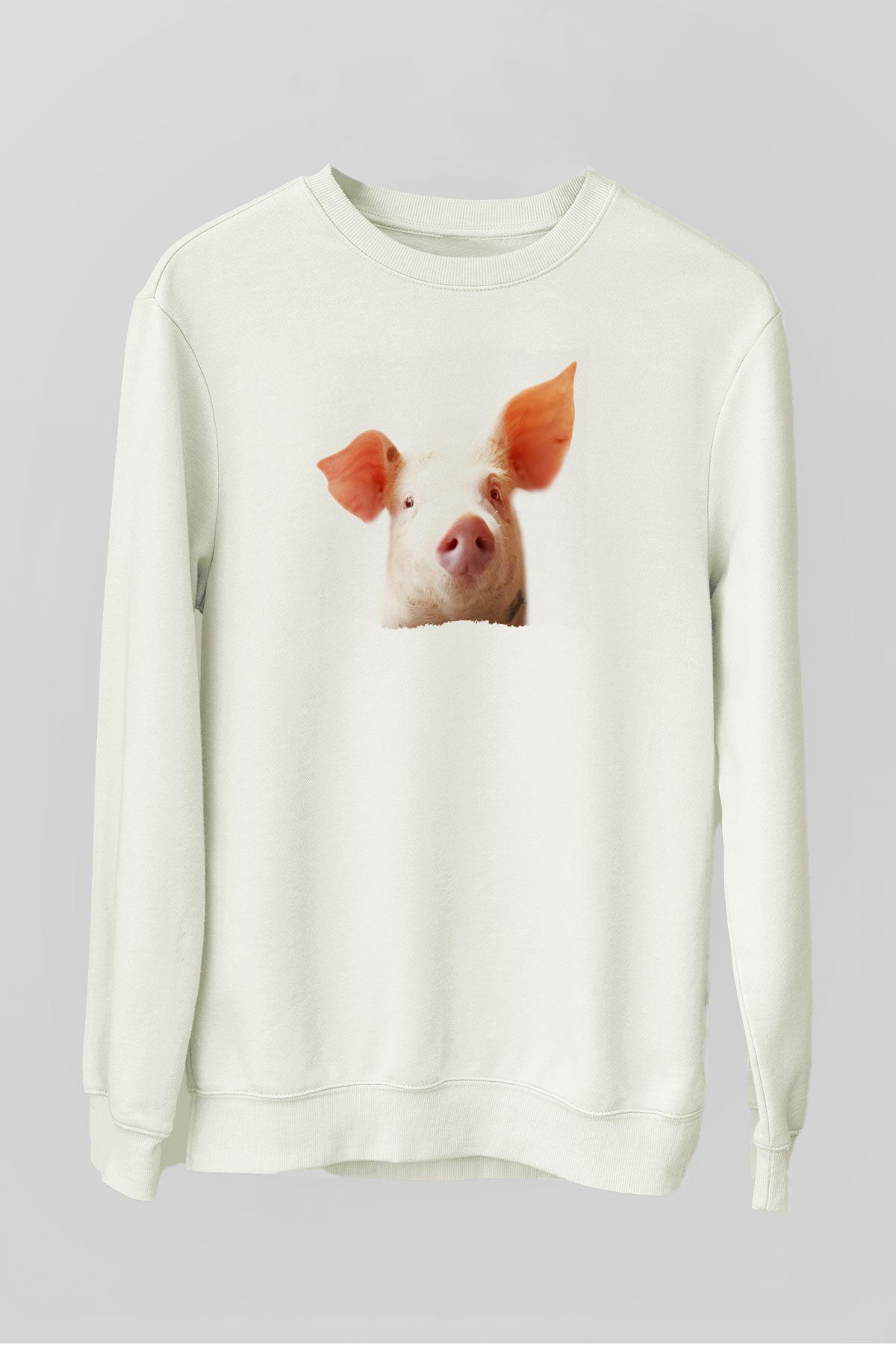 SW15208_0.jpg
