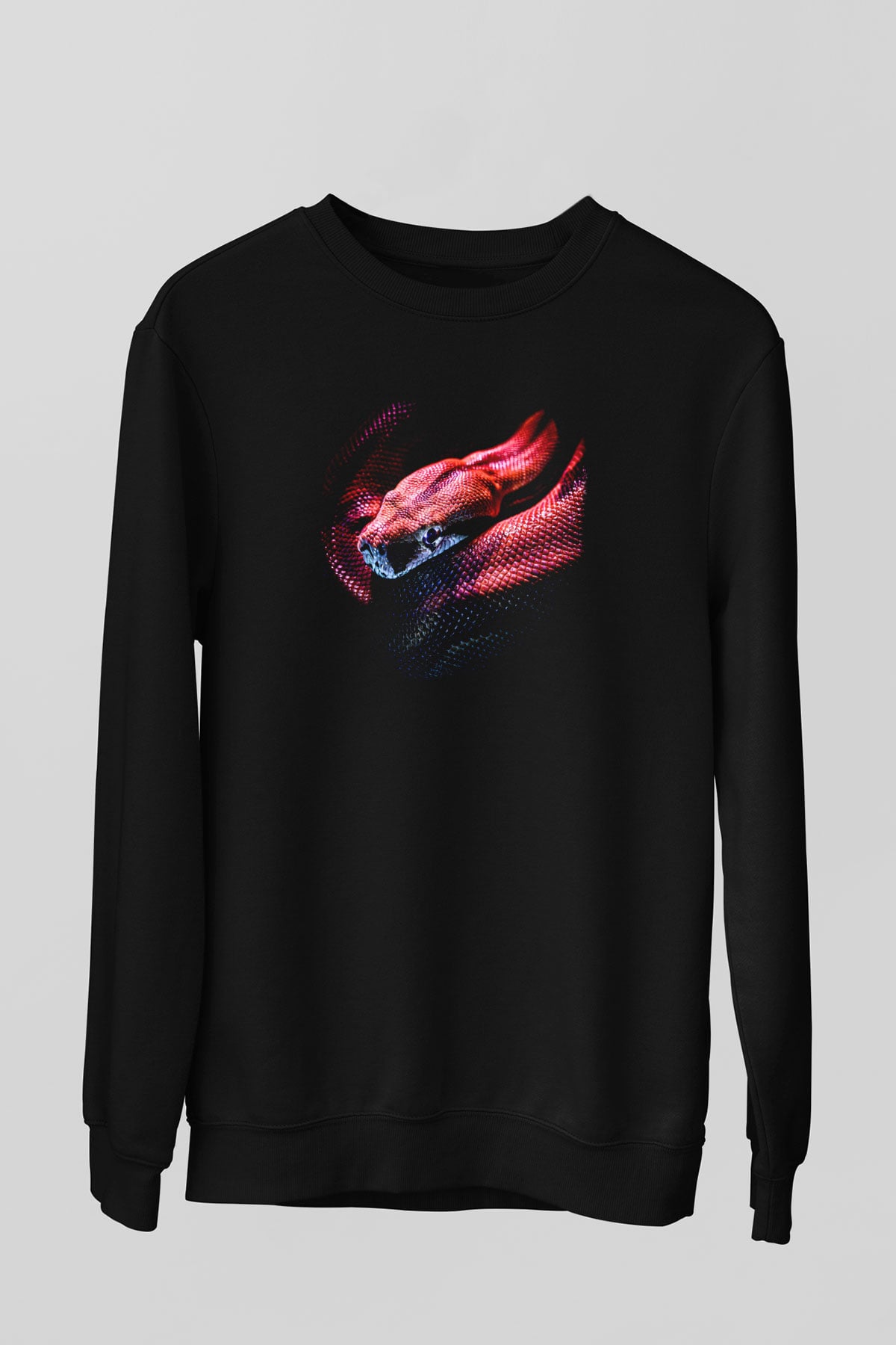 SW15649_0.jpg