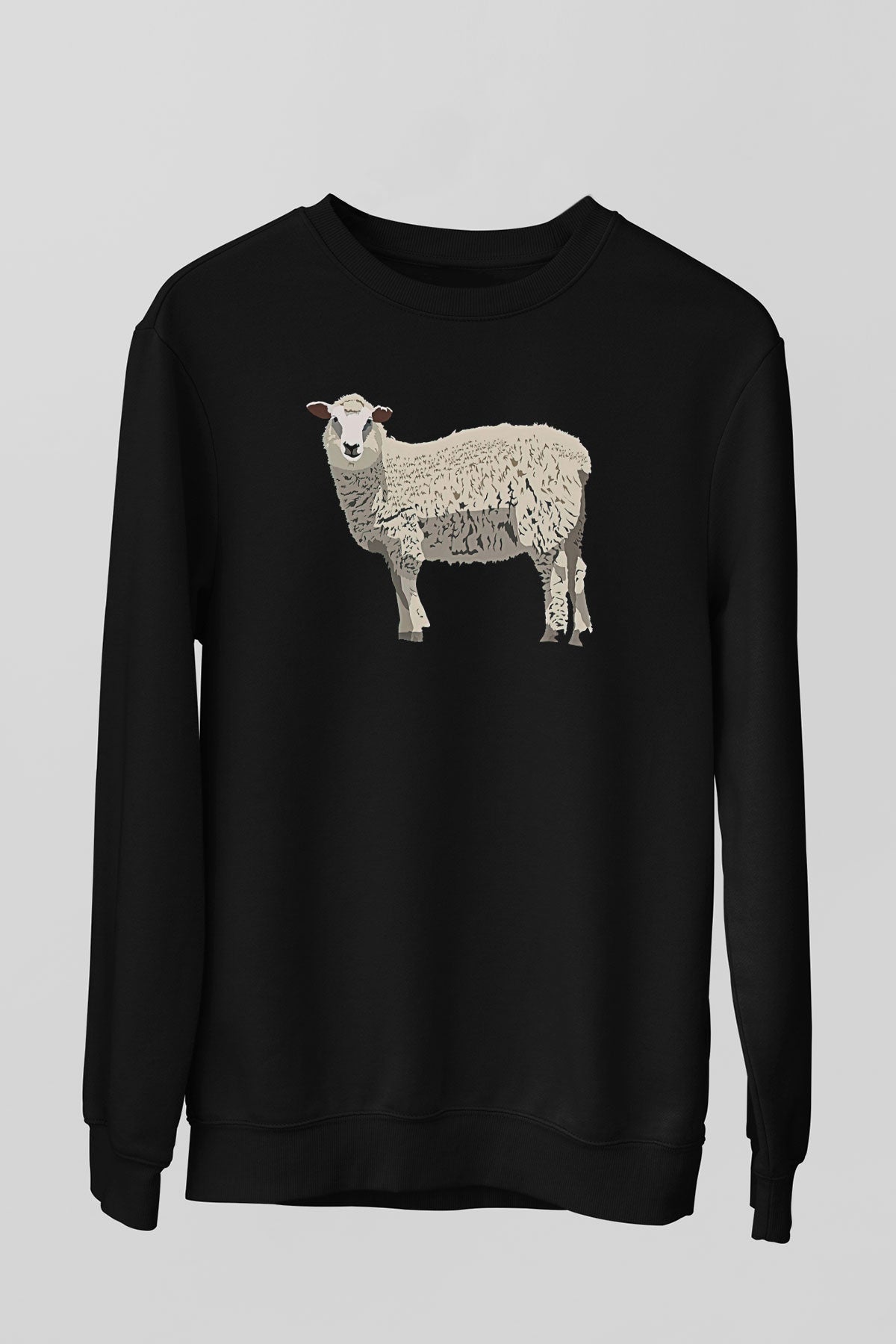 SW60503_0.jpg