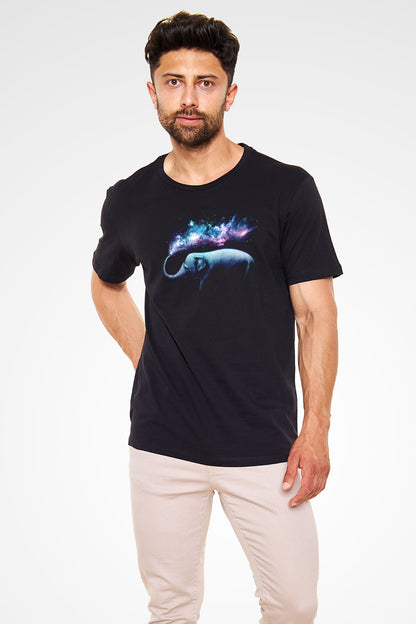 T15261_2.jpg