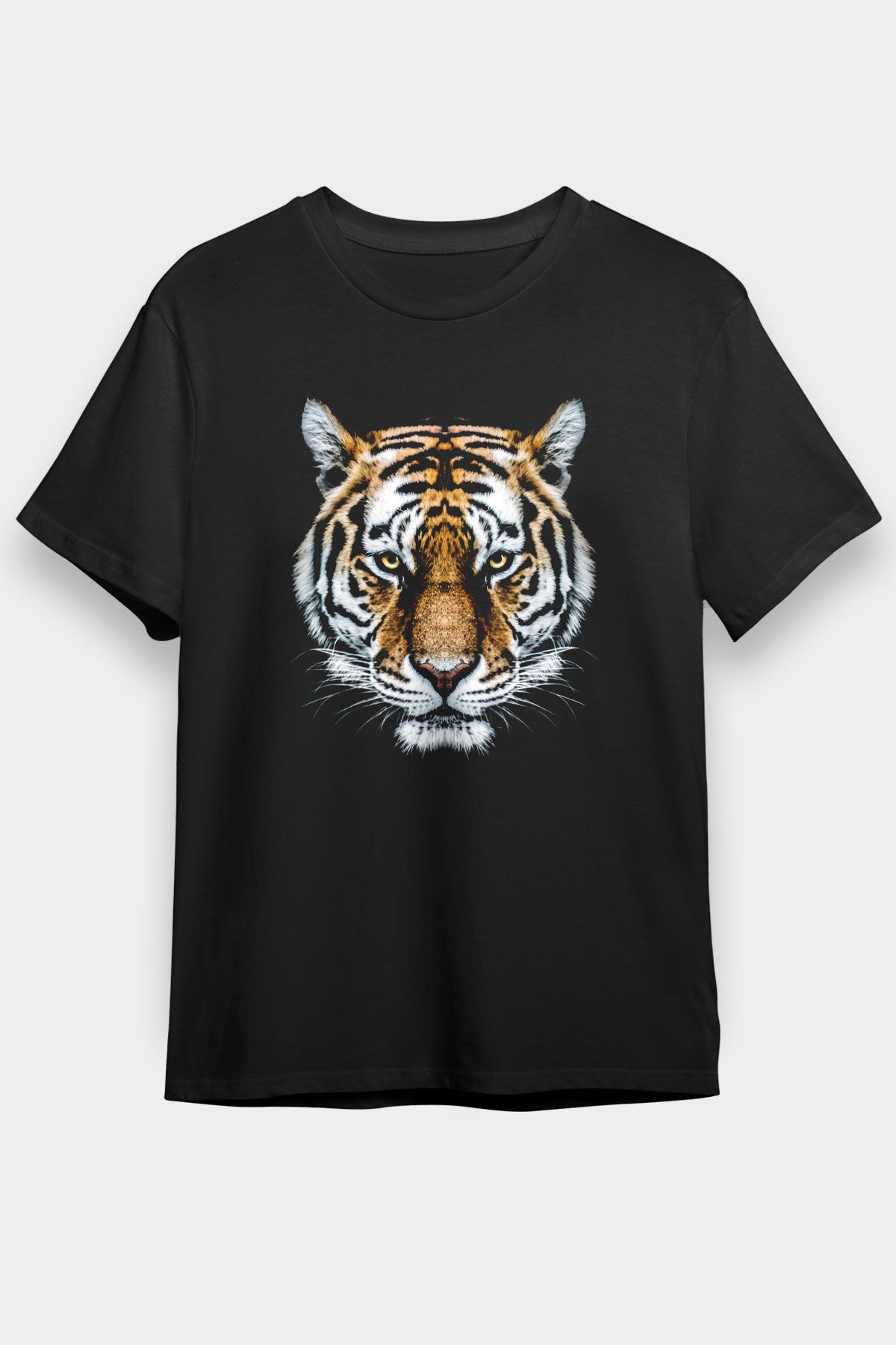 T15395_0.jpg
