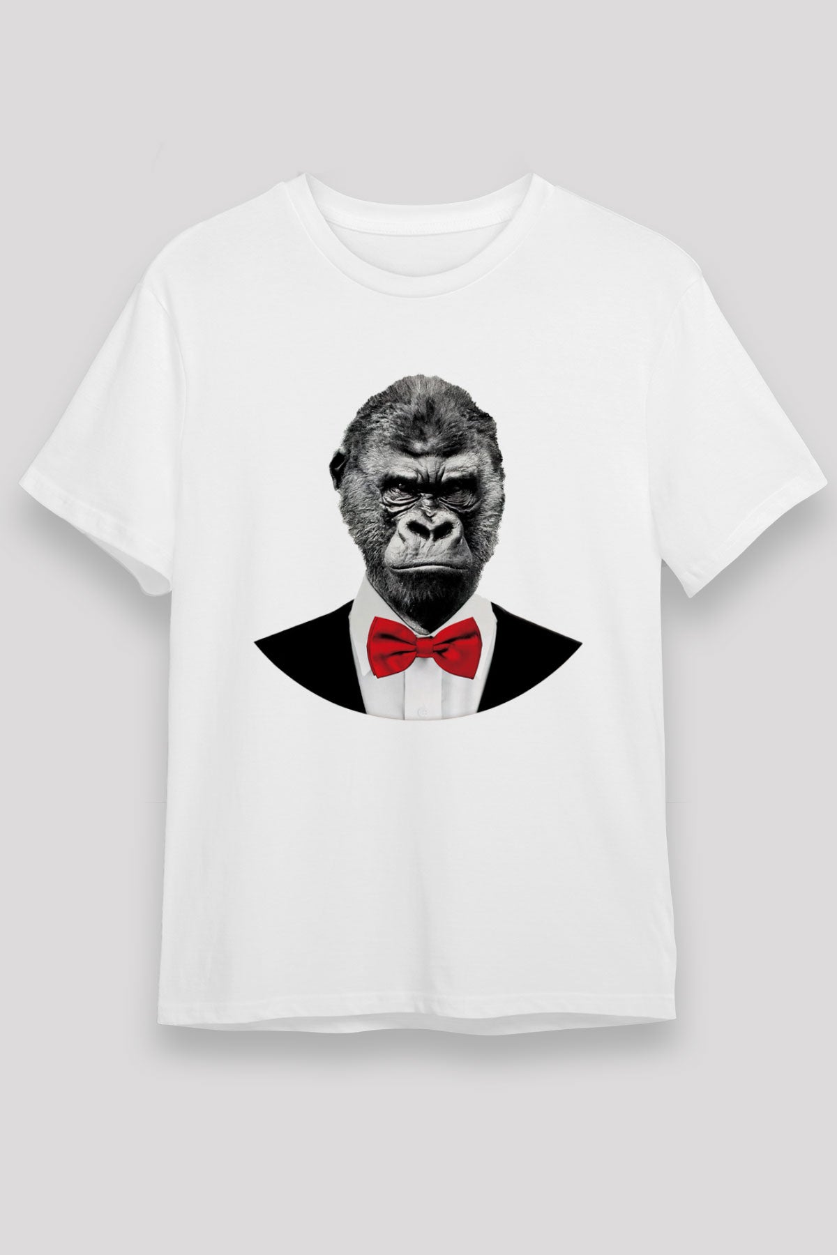 T15508_0.jpg