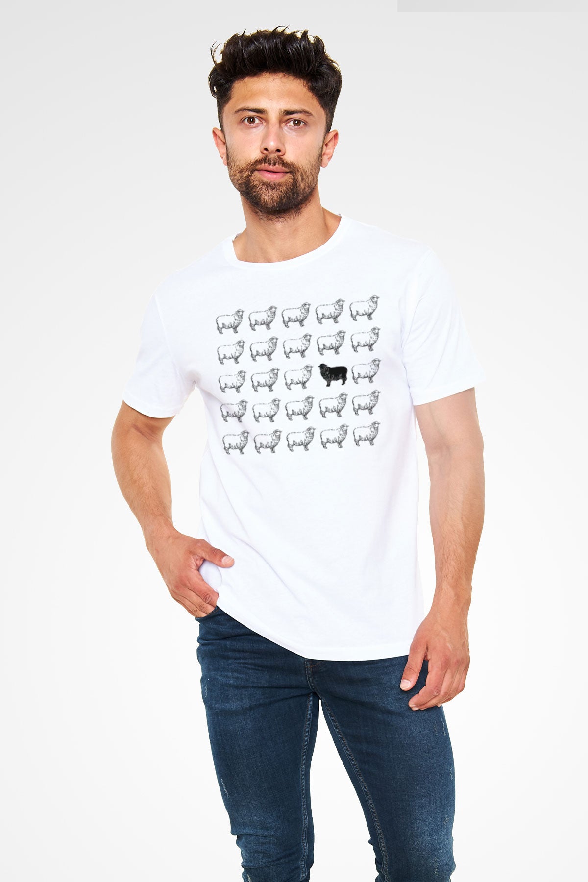 T60528_1.jpg
